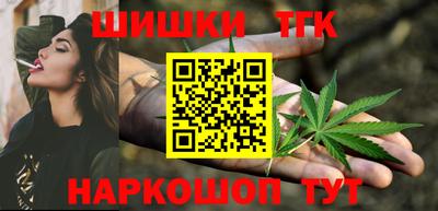 индика Абакан