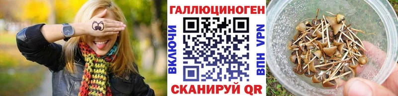 мега рабочий сайт Лобня Псилоцибиновые грибы Psilocybine cubensis купить наркоту