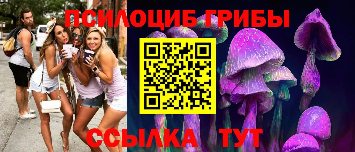 Галлюциногенные грибы мицелий  закладка  Лобня  Вход с VPN 